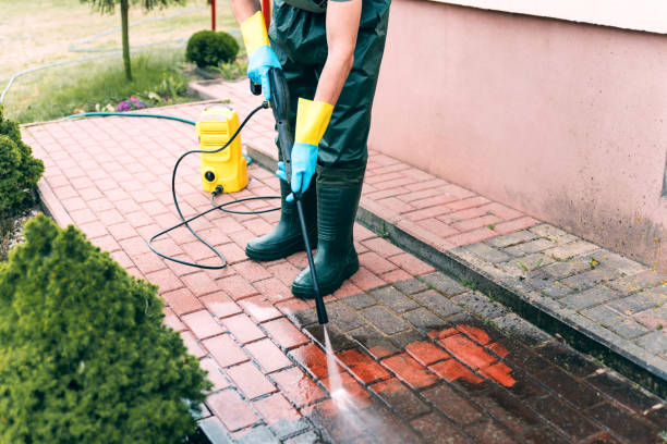 Best Dumpster Area Cleaning  in Britt, IA